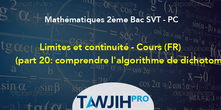 Limites Et Continuité Cours Fr Part 20 Comprendre Lalgorithme De