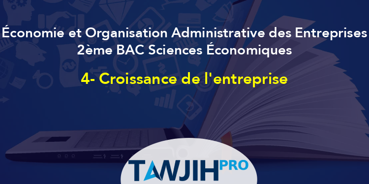 4- Croissance De L'entreprise,Économie Et Organisation Administrative ...